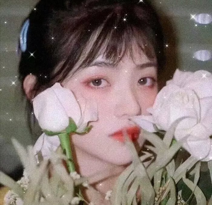第一茧